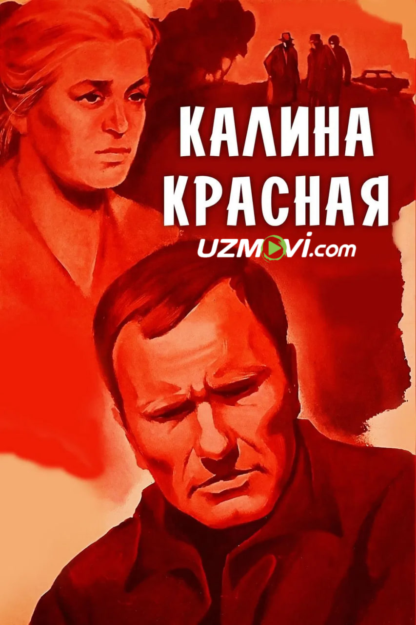 Qizil bodrezak (SSSR filmi)