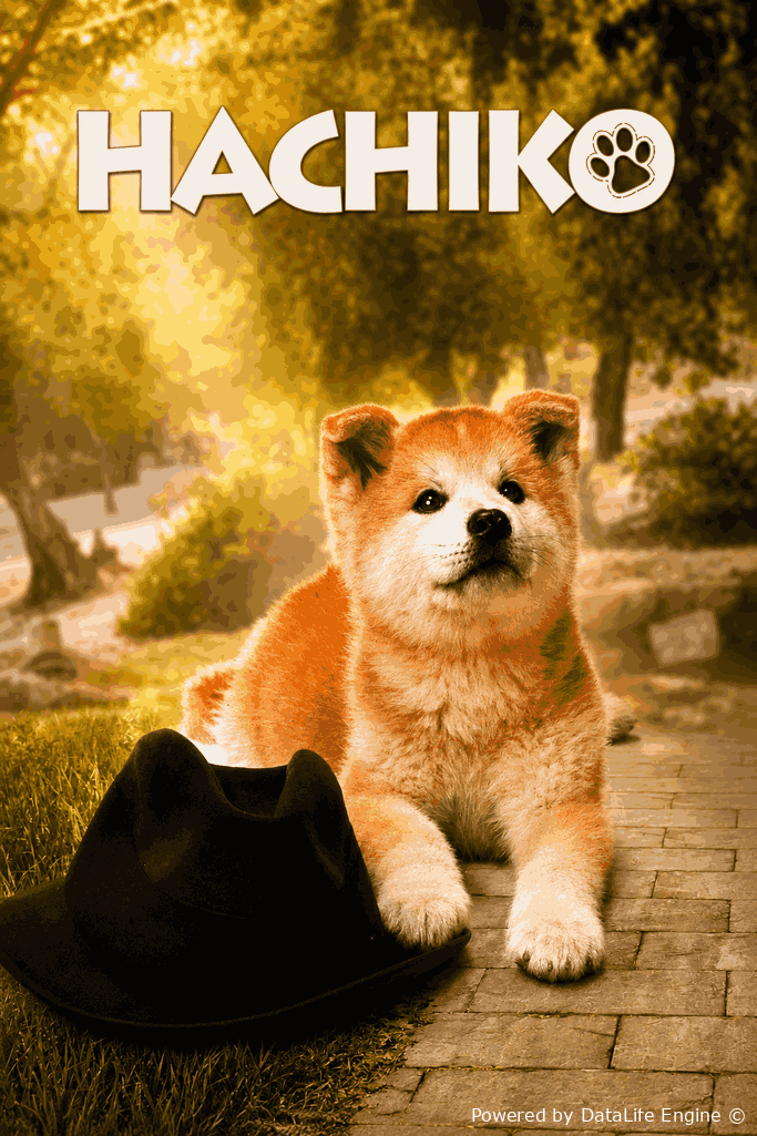Xatiko tarixi yaponiya filmi
