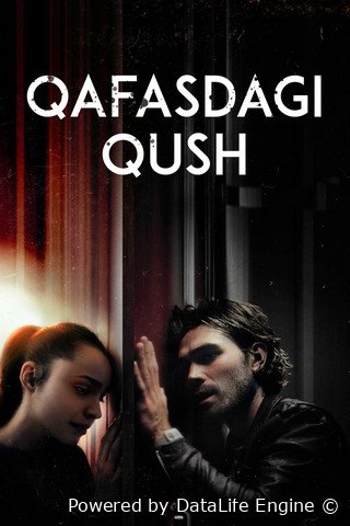 Qafasdagi qush epidemiya premyera