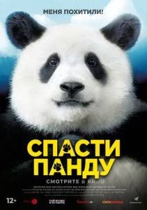 Panda izidan