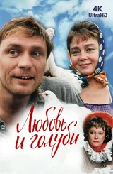 Muhabbat va kabutarlar