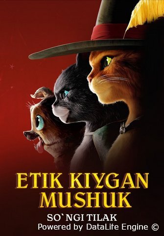 Etik kiygan mushuk