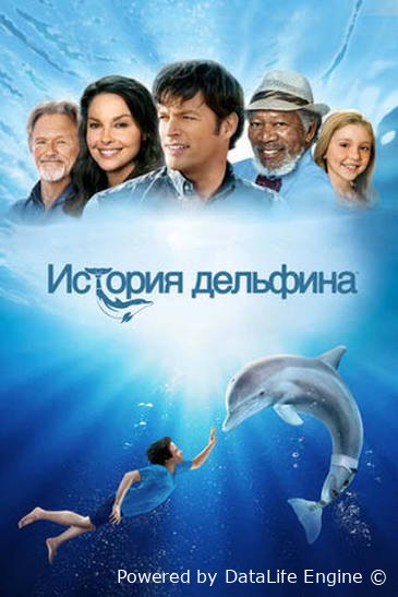 Delfin qissasi 2