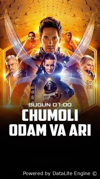 Chumoli odam va ari
