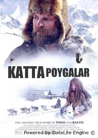 Alyaskdagai katta poygalar