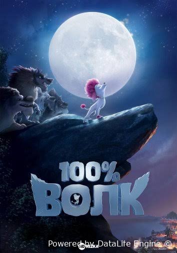 100% Yuz Foiz bo'ri premyera